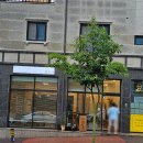 일도기 | 천안 청당 맛집 일도기 미즈타끼 후기