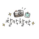 바이썬하이문 이미지