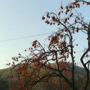 공주영명고등학교 이미지