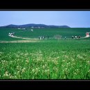 고음농장 이미지