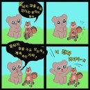 수정메디 이미지