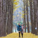 도리정원 이미지