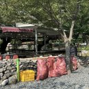 로뎀나무 펜션형 민박 | 청도 신원계곡 느티나무 평상 가격 샤워실 화장실 주차 내돈내산 솔직후기