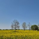 부여(사비)-26 이미지