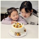 진해구 ⓒ-7 | 진해 케이크 맛집 쉬폰사르르 추천 단호박밀크케이크 포장 후기