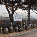 춘천닭갈비농장 | [강원 춘천] 춘천 닭갈비 맛집 추천 : 항아리닭갈비막국수 춘천본점