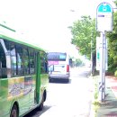 하단동171 이미지