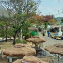 부곡원조 메기탕 이미지