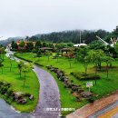 본마사동 이미지