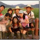 낙안보건지소 이미지