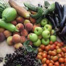 보람농장 이미지