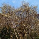 지노한우노블 이미지