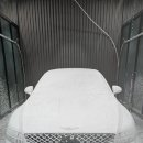 자이언트 디테일링 | [세차 용품 리뷰] 가성비 갑! 글로스브로 자이언트밤 카샴푸 1L &amp; 스티치도 디테일링 브러쉬 내돈내산 후기