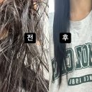 [사직] 사직동 미용실 상한머리 클리닉 복구매직 후기 “레인보우헤어샵”