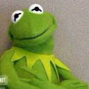 이지콜센터 | 퇴사일기 다섯번째 / 혼자 다 한 마케팅, 그리고 허공에 흩어진 모든 계획들(feat. 권고사직)