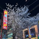 도쿄짬뽕 - 원주시 치악고교길 45-7 | 울산 삼산 이자카야 맛집 <도쿄밤> 연어육회 크림짬뽕 방문후기
