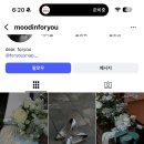 포유(For you) | 📸아이폰스냅 계약후기👉포유스냅 for you
