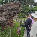 화성지질