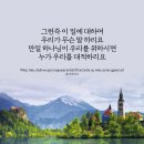 하리요8 이미지