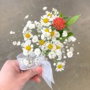 로리에가든 | 💐의정부 촬영용 안개꽃 부케 ‘로리에가든’ – 깔끔하고 화사한 천일홍