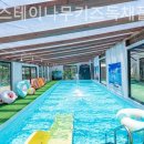 양양 스테이나무 이미지