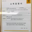 용인대다옴태권도장 이미지