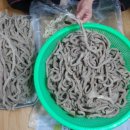 텃골순대국