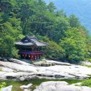 월림교 Daum카페