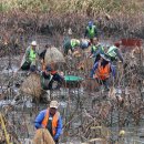 가래치기 이미지