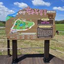 [공지] 5월 충남 여행지 서산 한우목장 웰빙산책로 가족 여행 코스 힐링 체험 추천