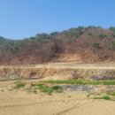 기룡농장 이미지