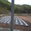 수리농장 이미지