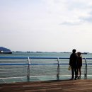 송도해수욕장 Daum카페