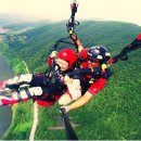 능이한방백숙 이미지