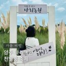 무궁화농원 | 2025 양주 나리농원 천일홍 축제, 올가을엔 여기로!