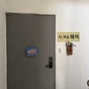 언니네 애견미용실 | 상암동두피관리 더채움헤어 두피케어 받고 온 후기