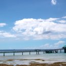 달리는족족 이미지