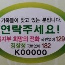 로고유 이미지