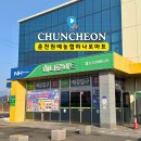 춘천원예농업협동조합 하나로마트 | 춘천농협 하나로마트 춘천원예농협 정보와 캠핑 장보기 추천