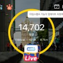 네코마오