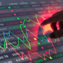 이디피시스템 이미지