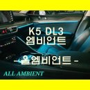 올엠비언트라이트