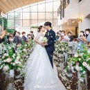 아모르 하우스 이미지