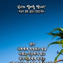 핸드폰 배경화면&잠금화면_20240707_감사의 열매를 맺으라!_신명기 4장 2절_맥추감사절 & 오순절 후 일곱 번째 주일 묵상_복숭아 이미지