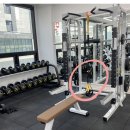 베리핏(VERY FIT) 이미지