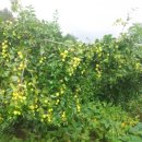 덕이네농장 이미지