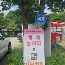 개떼놀이터 남양주 [애견운동장 강아지놀이터 펫 반려견] 이미지