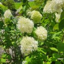 자연생태공원 부천식물원 이미지