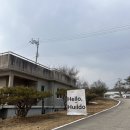이천 휴일도 반려견과 즐기는 찜질방 솔직후기