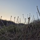 느린오후 이미지